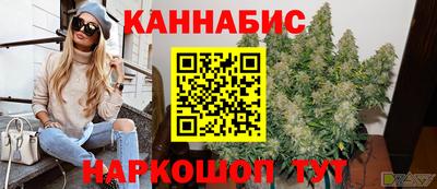 прущие грибы Можайск