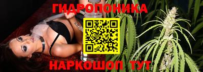 стаф Моздок