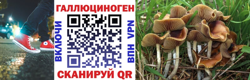 Галлюциногенные грибы мухоморы Шумерля