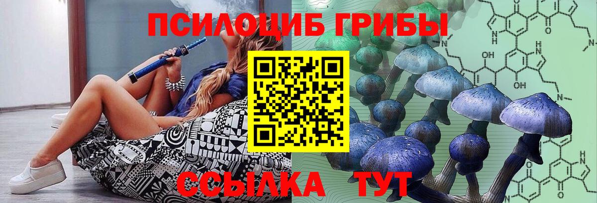 Псилоцибиновые грибы Psilocybine cubensis  Вход с VPN  Шумерля 