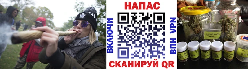 Каннабис планчик  где купить наркоту  Шумерля 