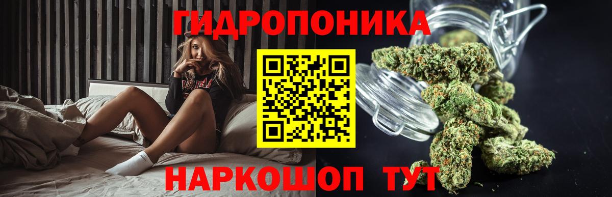 Шишки марихуана Ganja Шумерля
